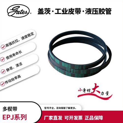 gates/盖茨工业皮带 滚筒输送流水线传动皮带 多楔带 2EPJ246-486