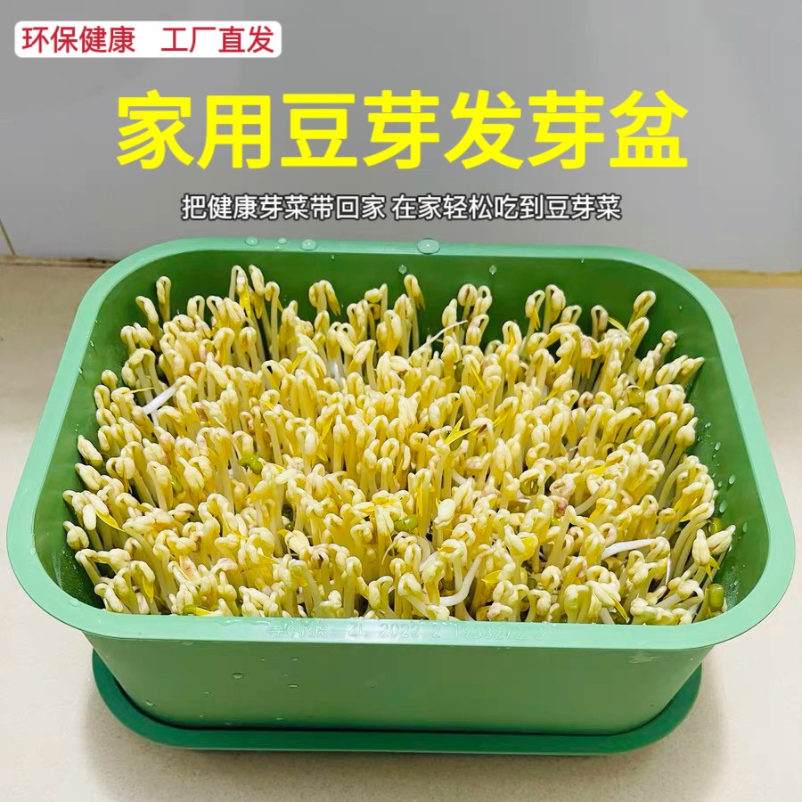 豆芽发芽盆豆芽罐家用生豆芽机无公害发豆芽桶黄豆绿豆发芽盆神器
