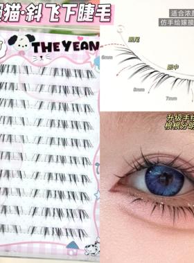 手绘漫画感！新升级小懒猫斜飞下睫毛浓密上镜自然缩短中庭假睫毛