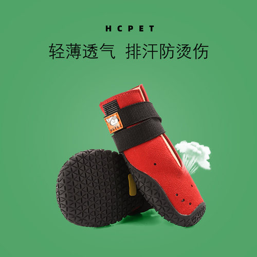 hcpet金毛中大型犬休闲透气鞋子