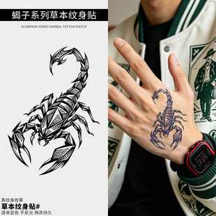 蝎子 草本纹身贴纸半永久男女仿真刺青防水持久虎口手臂 XP新款