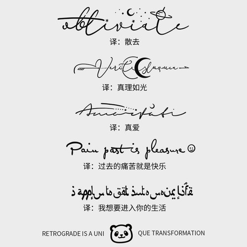 XM&XP 超酷英文句子草本纹身贴防水女持久手臂胸前半永久锁骨果汁 - 封面