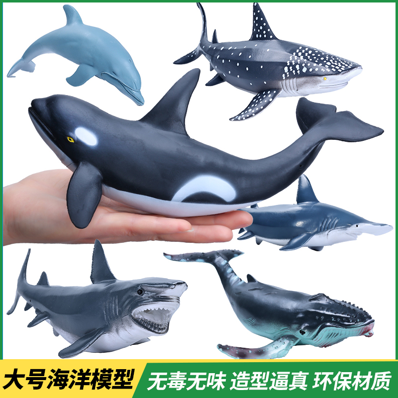 仿真海洋塑胶模型玩具
