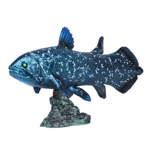 仿真热带鱼玩具动物模型巨骨舌鱼斑节恐龙鱼矛尾鱼儿童认知男礼物