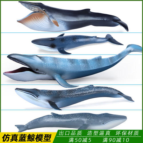 新款蓝鲸实心塑胶科教海洋动物