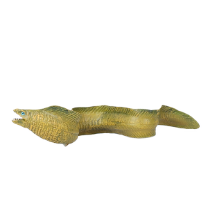 仿真海洋生物模型海鳗玩具实心塑料海底动物儿童科教认知摆件礼物