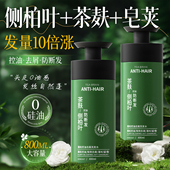 侧柏叶生姜洗发水茶麸非防脱生育控油发去屑止痒防断发蓬松洗头膏