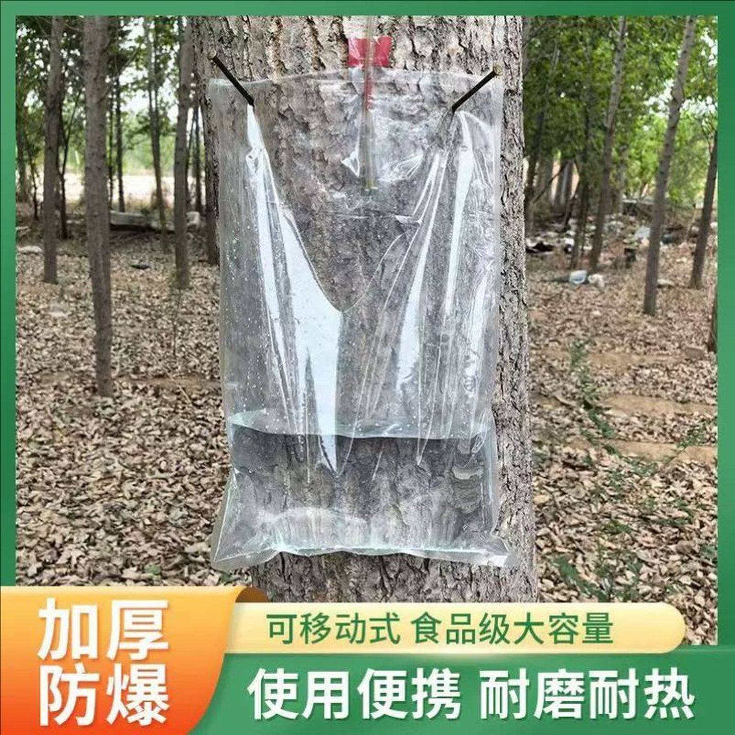 桦树汁采集袋加厚密封液体包装袋便携式设计户外使用挂钉式蓄水袋,鲜花速递/花卉仿真/绿植园艺,洒水/浇水壶,淘宝优惠券,粉丝福利购,淘宝优惠卷