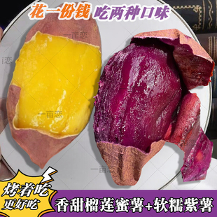 蜜薯+紫薯双拼组合】云南黑美人紫薯榴莲蜜薯为烤而生流油流蜜