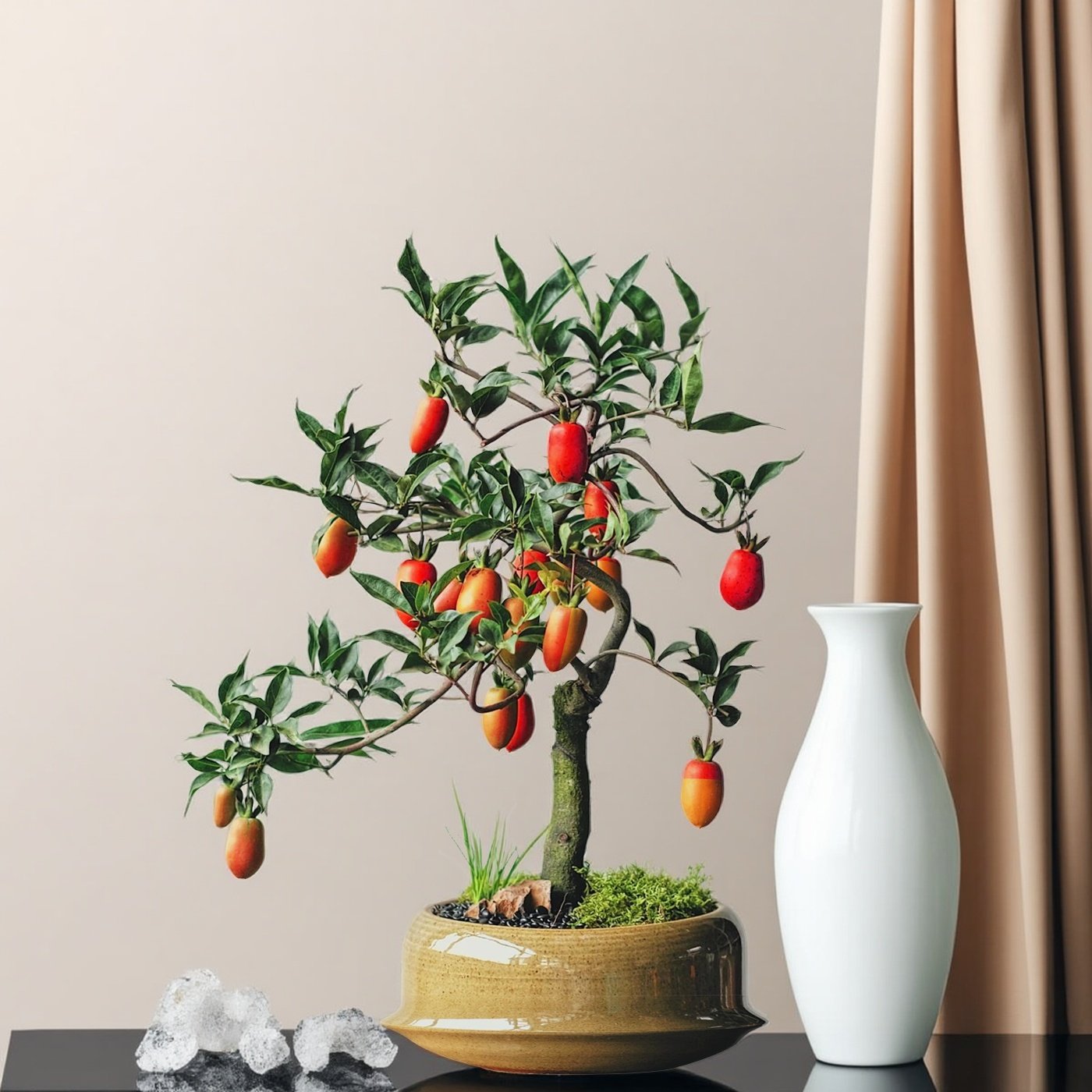 黄金弹子盆景桌面小办公室盆栽