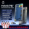Dark Night Black-[Begonia Axis] Three-Mode 8000Mah