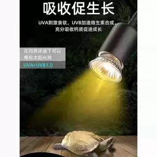 全光谱小乌龟晒背灯uvb灯爬宠补钙灯龟缸养乌龟专用灯uva晒龟灯泡