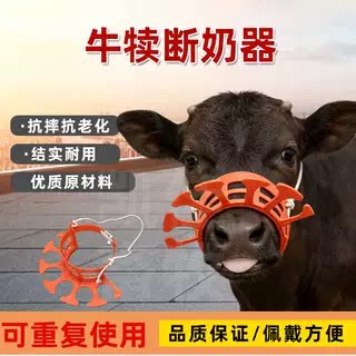 新款牛犊断奶神器圆形小牛牛犊断奶易带犊牛戒奶简易一体养殖家用