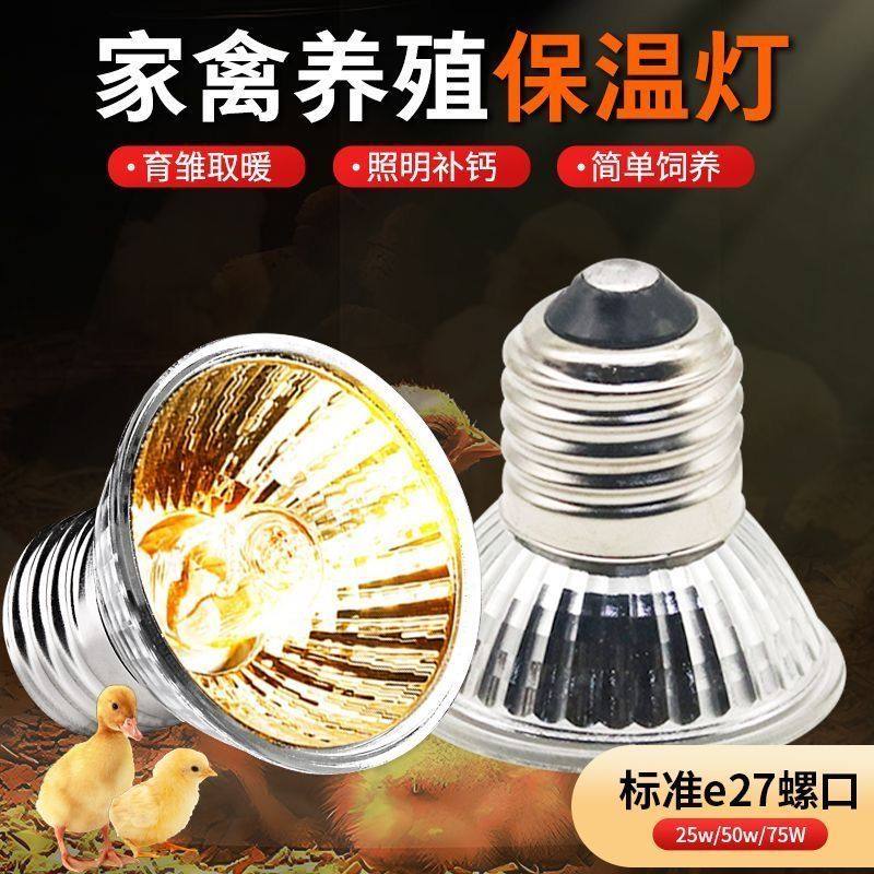 芦丁鸡保温育雏用取暖小鸡加热养殖保温灯太阳灯宠物乌龟晒背灯,畜牧/养殖物资,畜牧/养殖器械,淘宝优惠券,粉丝福利购,淘宝优惠卷