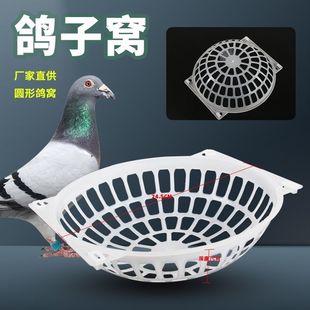 鸽子窝鸽窝清仓加厚方形鸽子窝鸽笼配件新款蛋窝巢盆窝窝种鸽草窝