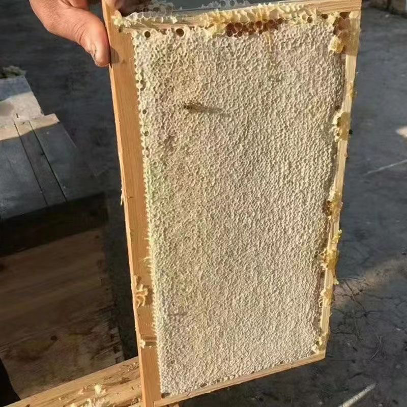 优质新巢蜜纯天然意蜂蜜野生原生态食用整张蜂巢蜜脾商用喂蜂
