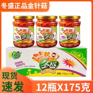 冬盛金针菇12瓶整箱拌饭拌面开胃下饭菜咸菜宿舍零食商用批发小菜