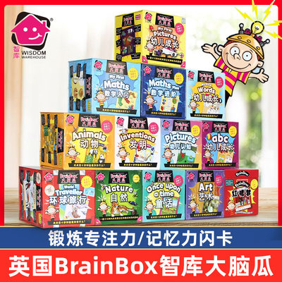 智库brainbox脑瓜教桌益智玩具