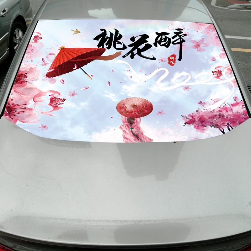 3d挡风玻璃立体车窗改装贴画