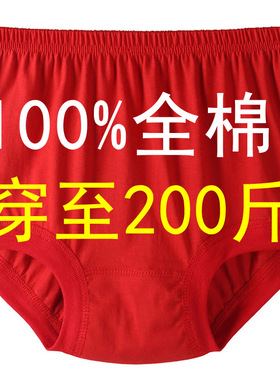 本命年内裤马年三角大红色男女老年人100%纯棉全棉爸爸妈妈短裤头