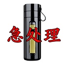 大容量玻璃杯男女便携防摔随手水杯子商务双层隔热塑玻泡茶杯