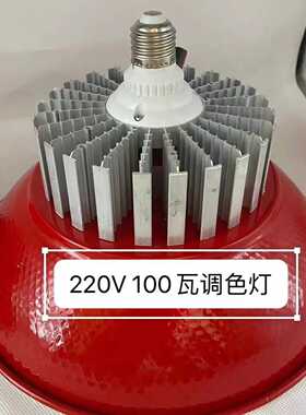 LED灯泡E27螺口100W调色水果灯DC220V球泡灯红绿蓝三色生鲜灯