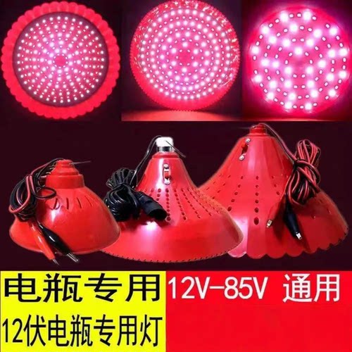 低压款LED48V60V电瓶车摆摊摊位照明灯低压电瓶灯