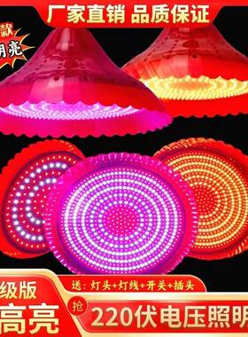 220伏专用店铺吊灯 自然光超亮螺口E27照明灯