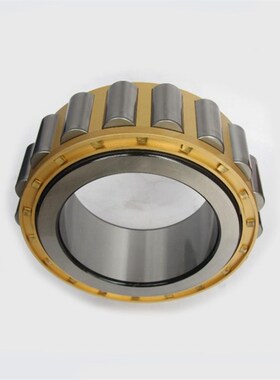 偏心轴承RN205 206 307 RN309 312 RN328 219 222 228EM减速机