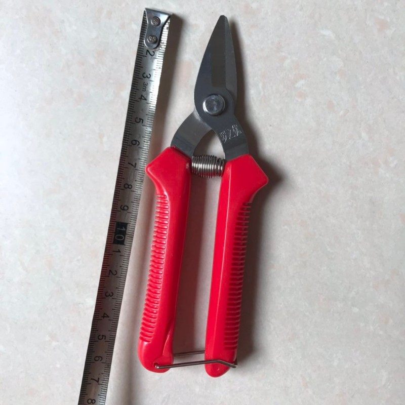 稀果剪葡萄采果剪柑橘剪桔子蔬果剪摘果剪果园果树剪采摘编藤剪刀,搬运/仓储/物流设备,机械式停车设备（立体停车库）,淘宝优惠券,粉丝福利购,淘宝优惠卷