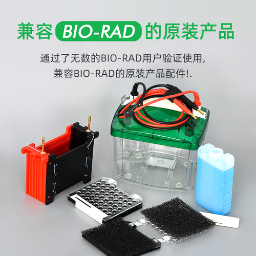 通用bio-rad伯乐小型转印湿转转移芯电泳仪小型转移电泳槽1703930