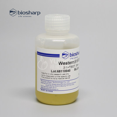 Biosharp BL535A Western封闭液 Blocking Buffer 100ml/瓶