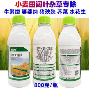 麦压仓48%2甲氯双氟小麦苗后专用除草剂阔叶杂草草坪牧草除草药