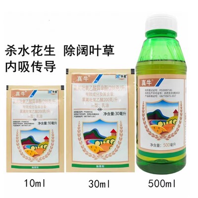 华星真牛28.8%氯氟吡氧乙酸异辛酯猪殃殃水花生阔叶杂草除草剂