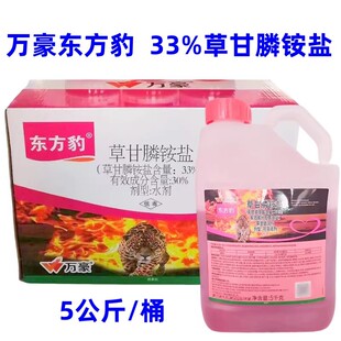 大桶装东方豹30%草甘膦铵盐杂草除草剂银收成果园茶园老牌子正品