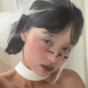 Mi唐手作刺绣头纱面纱女遮脸领证求婚短头纱拍照道具高级感小众