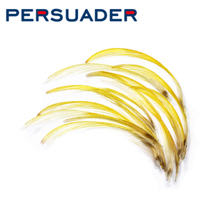 飞蝇钩绑制材料 自然金色锦鸡羽毛 传统三文鱼钩绑制羽毛 20片装