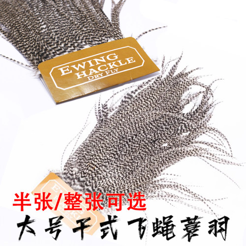 干式毛钩蓑羽公鸡鞍羽