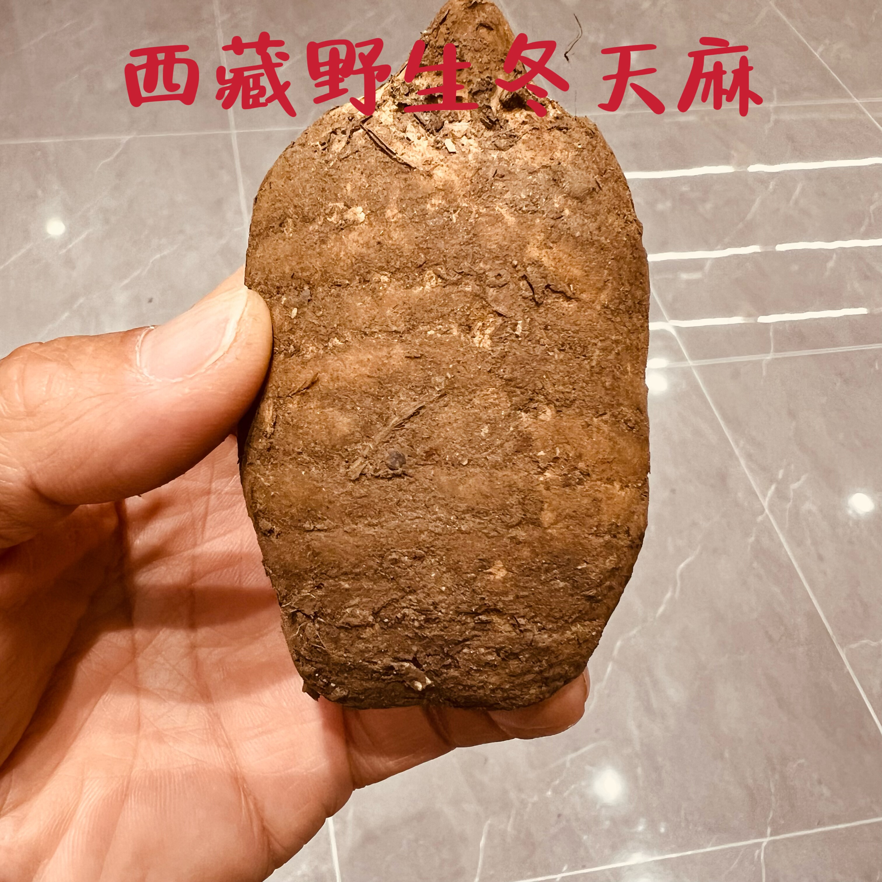 西藏波密野生藏天麻/乌天麻海拔3300米25年冬天麻新鲜天麻/干天麻