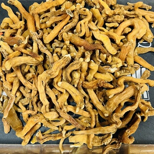 西藏林芝海拔3300米野生黄精/甜黄精/藏黄精干片 煲汤煮粥泡酒