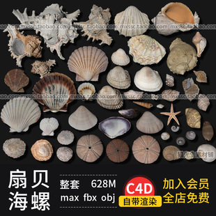 贝壳 扇贝 海螺模型 带贴图 obj 模型素材 海洋生物fbx C4D海星