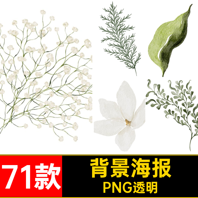 71款花环装饰背景花朵PNG叶子素材婚礼绿色植物水彩花卉免海报