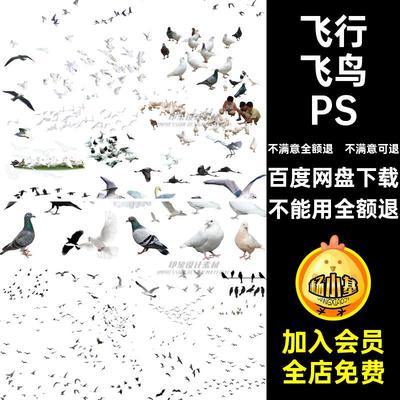 各种飞鸟PSD抠鸟类鸟群鸽子姿态飞行效果图ps大雁白鹭素材动物
