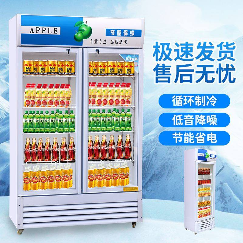 圣凯商用冰箱移动展示柜便利店啤酒柜冰箱保鲜柜立式单门双门