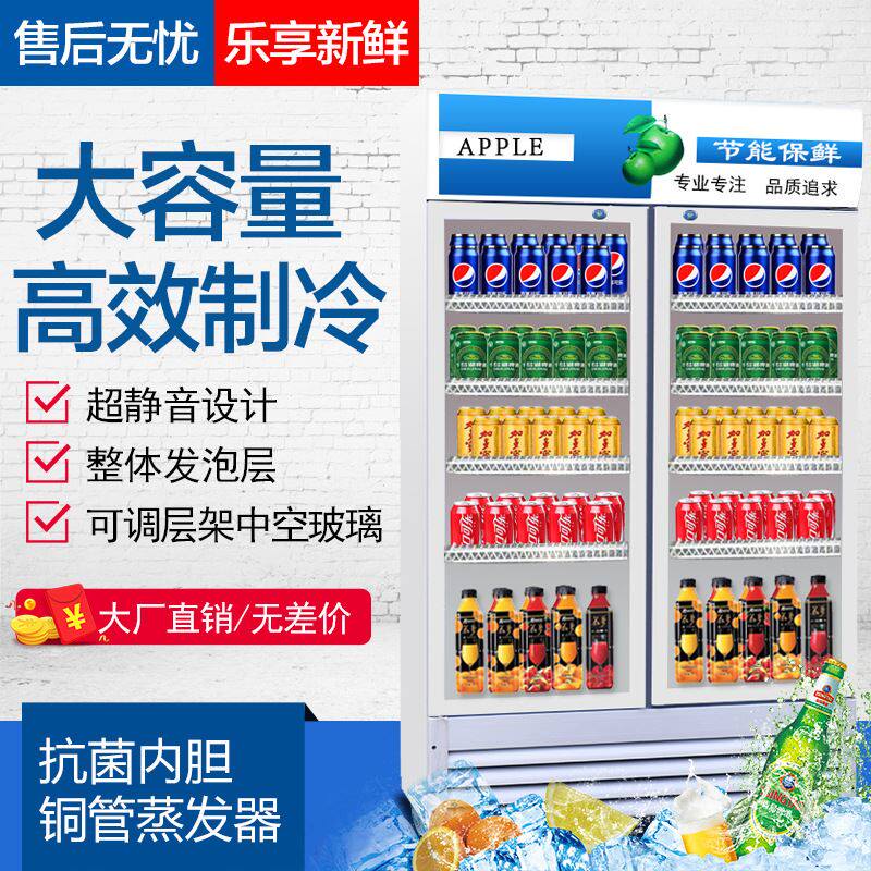 圣凯饮料柜商用冷藏保鲜展示柜单门双门立式冰柜大容量保鲜柜