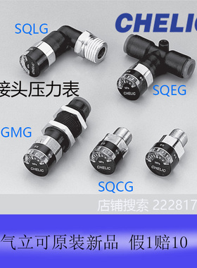 台湾气立可CHELIC全新原装正品附接头压力表SQCG SQMG SMLG SQEG6