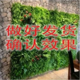 Моделирование растения стена зеленое растение зеленое растение стена стена псевдо -белокальная трава