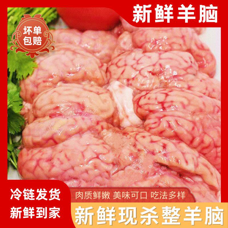 新鲜羊脑花脑髓羊肉清真羊脑冷冻冰鲜羊肉汤火锅食材烧烤纯羊脑