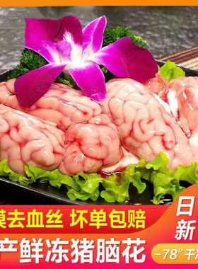 新鲜冷冻猪脑 大猪脑花 生猪脑子生鲜猪脑髓猪脑子猪脑花火锅食材