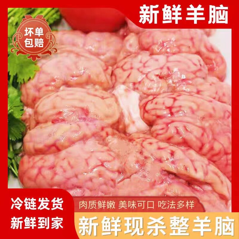 新鲜羊脑花脑髓羊肉清真羊脑冷冻冰鲜羊肉汤火锅食材烧烤纯羊脑